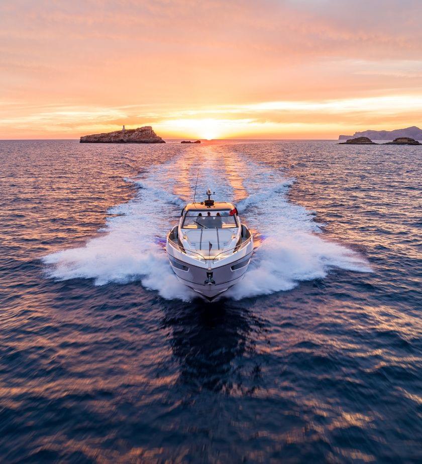 Predator 55 Predator 55