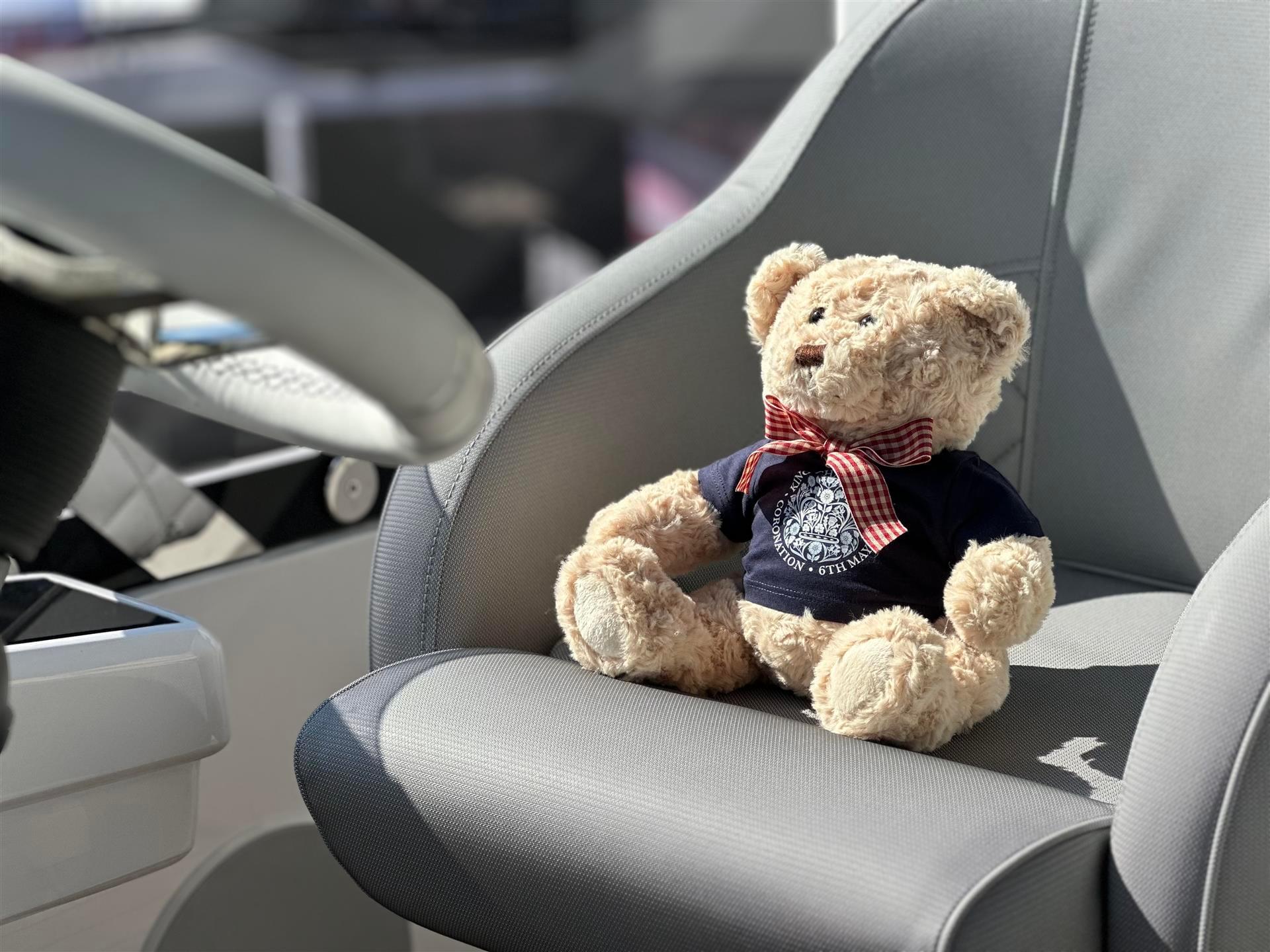 Limited Edition 'Arbie' Teddy Bear from Sunseeker