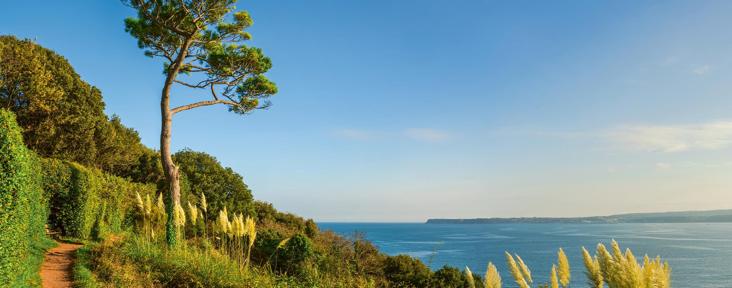 Devon coastline with trees and waters edge Devon coastline with trees and waters edge